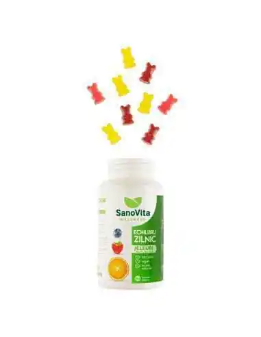 WELLNESS MULTIVITAMINE ECHILIBRU ZILNIC 60BUC Sano Vita, VITAMINE SI MINERALE