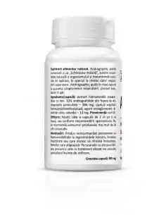 Andrographis 30cps Zenyth, REMEDII NATURISTE 2