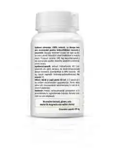 Bacopa Monnieri 30 cps Zenyth, Stres 2