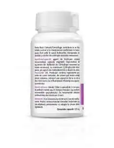 Black Cohosh 30 capsule Zenyth, Tulburari Hormonale 2