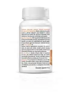 Boswellia 30 capsule Zenyth, REMEDII NATURISTE 2