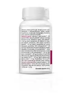 Echinacea cu soc 30 capsule Zenyth, REMEDII NATURISTE 2