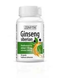 Ginseng Siberian 30 cpasule Zenyth, Sistemul nervos