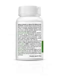 Ginseng Siberian 30 cpasule Zenyth, Sistemul nervos 2