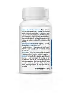 Magnesium Malate 30 capsule Zenyth, Stres 2
