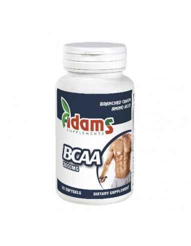BCAA 3000MG 30TABLETE Adams Vision, Sistemul nervos