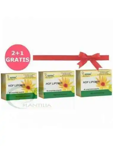 Hof Lipomin 40 cpr 2+1 GRATIS Hofigal, Terapia Diabetului