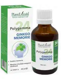Polygema 24 GINKGO MEMORIE 50 ml PlantExtrakt, Sistemul nervos