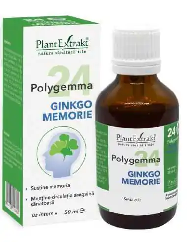 Polygema 24 GINKGO MEMORIE 50 ml PlantExtrakt, Sistemul nervos