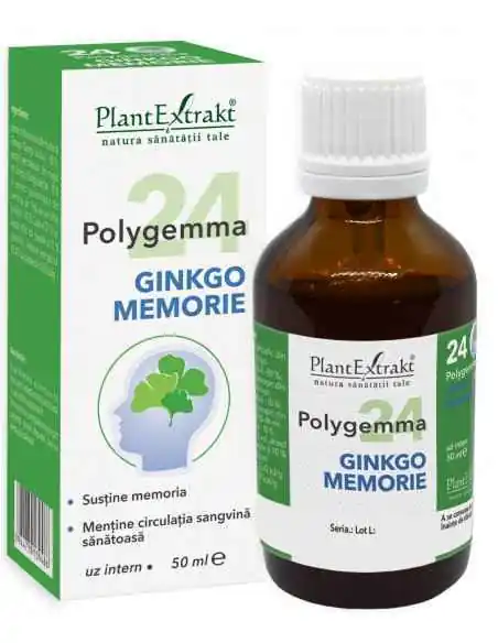 Polygema 24 GINKGO MEMORIE 50 ml PlantExtrakt, Sistemul nervos