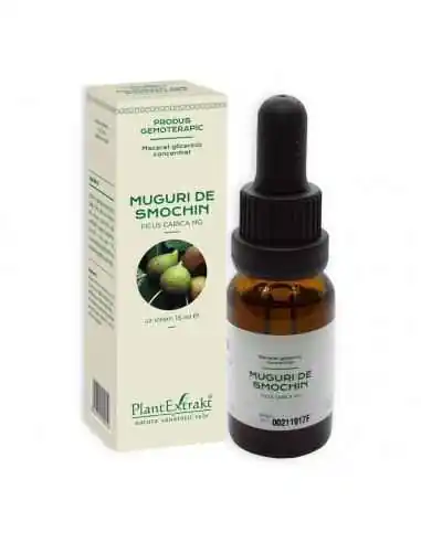 Extract Concentrat din Muguri de Coacaz Negru 15ml Plant Extrakt, REDUCERI