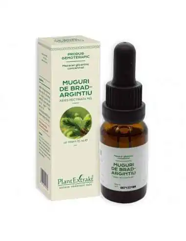 Extract Concentrat din Muguri de Brad Argintiu 15ml PlantExtrakt, VITAMINE SI MINERALE