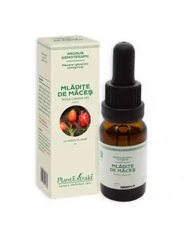 Extract Concentrat din Mladite de Maces 15ml PlantExtrakt, Sistemul nervos