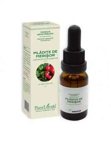 Extract Concentrat din Mladite de Merisor 15ml  Plant Extrakt, Retentie hidrica