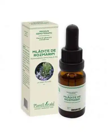 Extract Concentrat din Mladite de Rozmarin 15ml PlantExtrakt, REMEDII NATURISTE