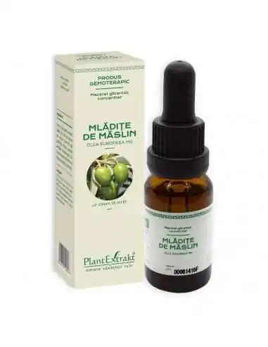 Extract Concentrat Mladite Maslin 15ml PlantExtrakt, Terapia Diabetului