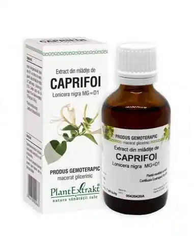 Extract din Mladite de Caprifoi 50ml PlantExtrakt, REMEDII NATURISTE