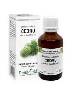 Extract din Mladite de Cedru 50ml PlantExtrakt, Sanatatea pielii