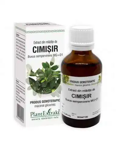 Extract din Mladite de Cimisir 50ml PlantExtrakt, REMEDII NATURISTE