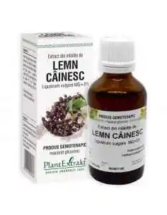 Extract din Mladite de Lemn Cainesc 50ml PlantExtrakt, Sanatatea pielii