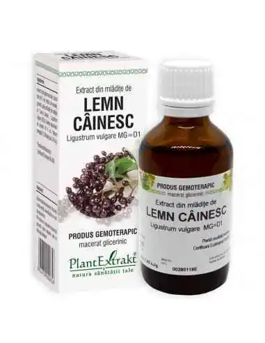 Extract din Mladite de Lemn Cainesc 50ml PlantExtrakt, Sanatatea pielii