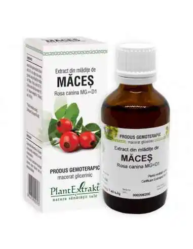 Extract din Mladite de Maces 50ml PlantExtrakt, Sistemul nervos