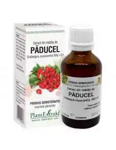 Extract din Mladite de Paducel 50ml PlantExtrakt, Stres