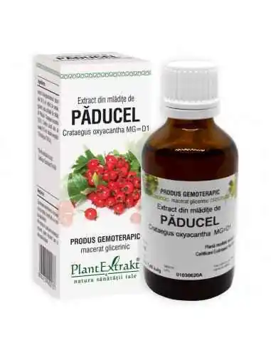 Extract din Mladite de Paducel 50ml PlantExtrakt, Stres