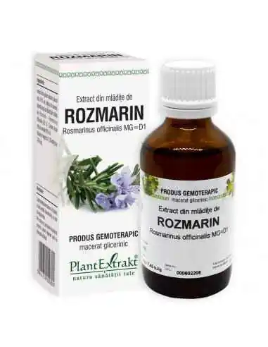 Extract din Mladite de Rozmarin 50ml PlantExtrakt, REMEDII NATURISTE