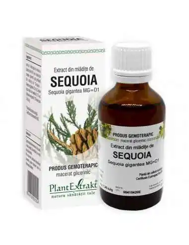 Extract din Mladite de Sequoia 50ml PlantExtrakt, REMEDII NATURISTE