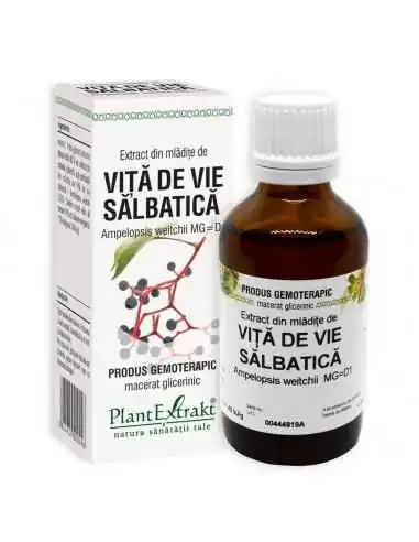 Extract din Mladite de Vita de Vie Salbatica 50ml PlantExtrakt, REMEDII NATURISTE