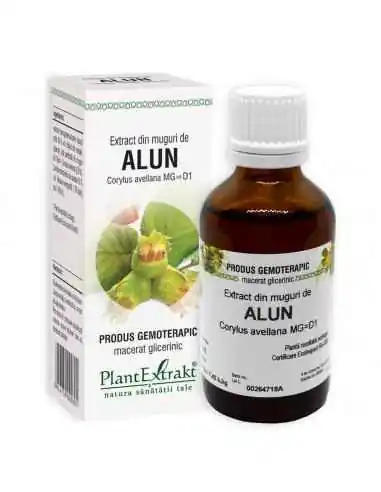 Extract din Muguri de Alun 50ml PlantExtrakt, Splina si pancreas