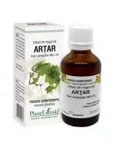 Extract din Muguri de Artar 50ml PlantExtrakt, REMEDII NATURISTE