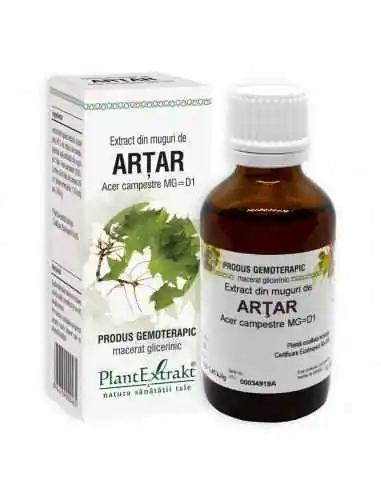 Extract din Muguri de Artar 50ml PlantExtrakt, REMEDII NATURISTE