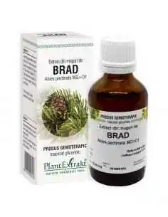 Extract din Muguri de Brad Argintiu 50ml PlantExtrakt, VITAMINE SI MINERALE