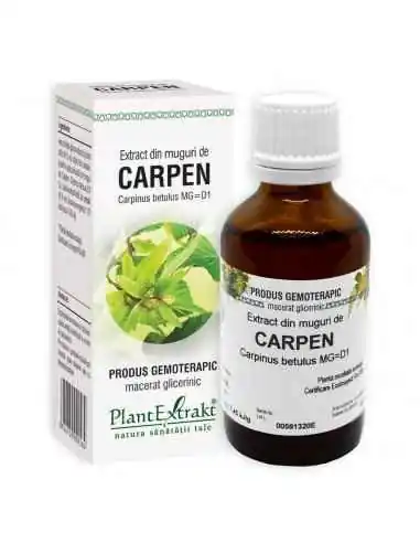 Extract din Muguri de Carpen 50ml PlantExtrakt, REMEDII NATURISTE