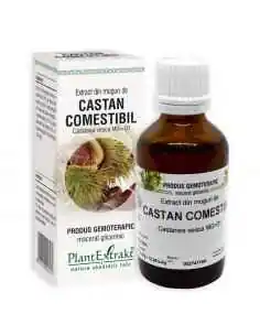 Extract din Muguri de Castan Comestibil 50ml PlantExtrakt, REMEDII NATURISTE