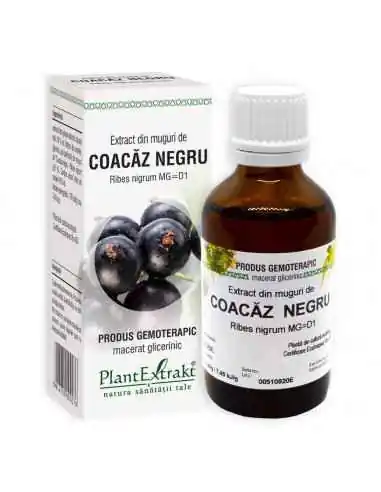 Extract din Muguri de Coacaz Negru 50 ml Plant Extrakt, REDUCERI