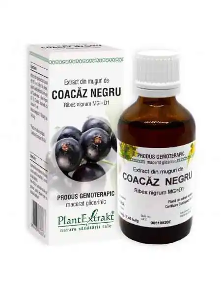 Extract din Muguri de Coacaz Negru 50 ml Plant Extrakt, REDUCERI