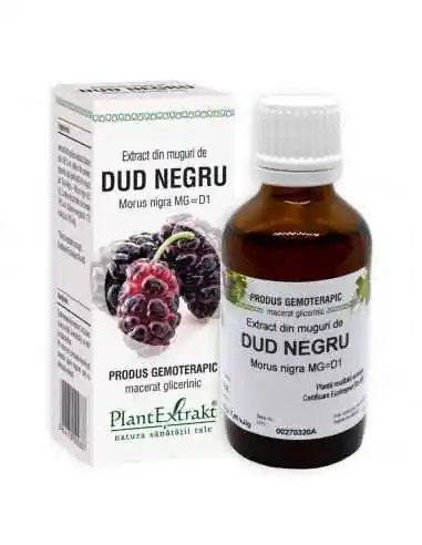 Extract din Muguri de Dud Negru 50ml PlantExtrakt, Terapia Diabetului