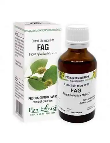 Extract din Muguri de Fag 50ml PlantExtrakt, Slabire