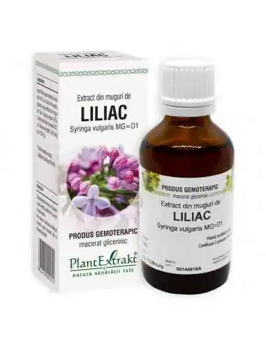 Extract din Muguri de Liliac 50ml PlantExtrakt, REMEDII NATURISTE