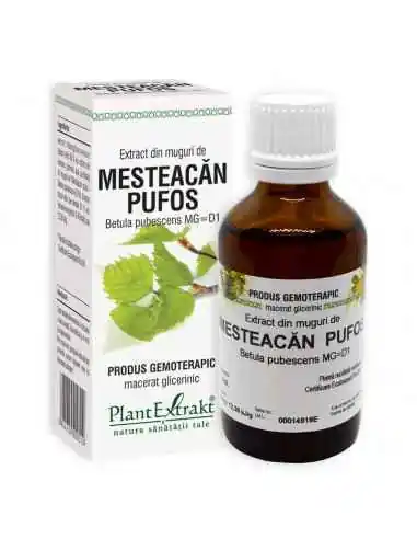 Extract din Muguri de Mesteacan Pufos 50ml PlantExtrakt, REMEDII NATURISTE