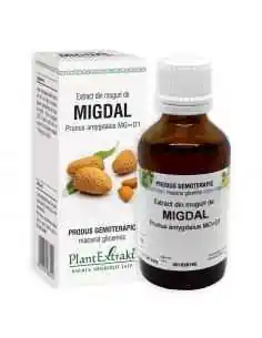 Extract din Muguri de Migdal 50ml PlantExtrakt, REMEDII NATURISTE