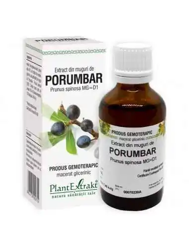 Extract din Muguri de Porumbar 50ml PlantExtrakt, REMEDII NATURISTE