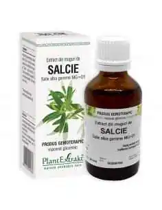 Extract din Muguri de Salcie 50ml PlantExtrakt, Stres