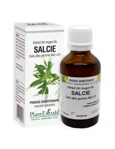 Extract din Muguri de Salcie 50ml PlantExtrakt, Stres