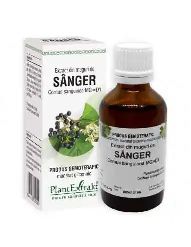 Extract din Muguri de Sanger 50ml PlantExtrakt, REMEDII NATURISTE