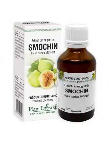 Extract din Muguri de Smochin 50ml PlantExtrakt, REMEDII NATURISTE