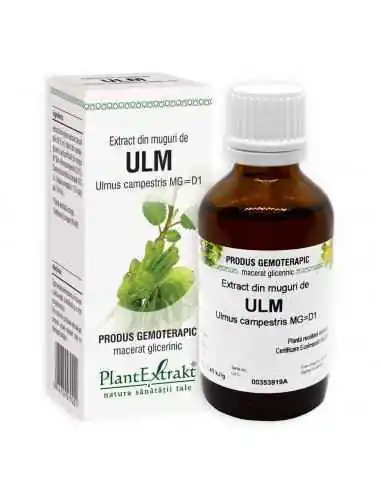 Extract din Muguri de Ulm 50ml PlantExtrakt, Sanatatea pielii